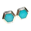 Silver Earrings (Rhodium Plated) w/ Inlay Created Opal