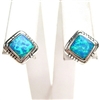 Silver Earrings with Inlay Created Opal