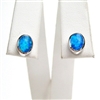 Silver Earrings with Inlay Created Opal