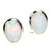 Silver Earrings (Rhodium Plated) w/ Inlay Created Opal